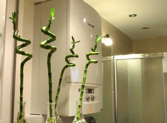 Krakowski Gimo Na Kazimierzu דירה *